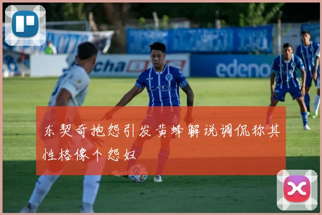 东契奇抱怨引发黄蜂解说调侃称其性格像个怨妇