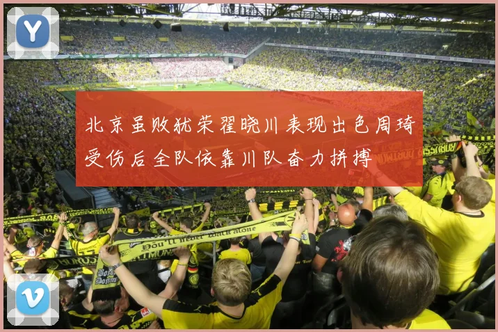 北京虽败犹荣翟晓川表现出色周琦受伤后全队依靠川队奋力拼搏
