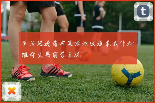 罗马诺透露布莱顿积极追求武什科维奇交易前景乐观