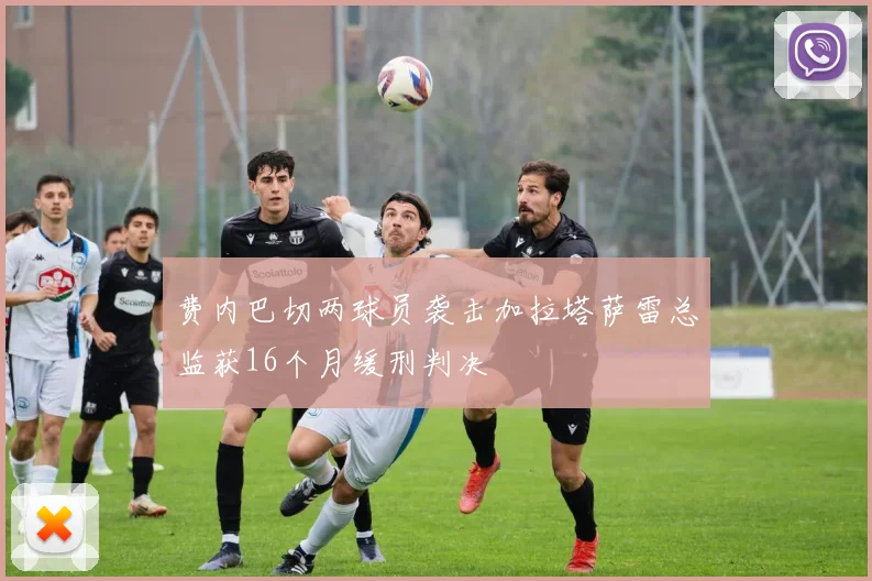 费内巴切两球员袭击加拉塔萨雷总监获16个月缓刑判决